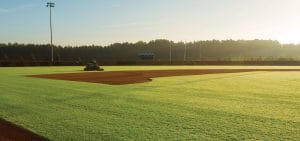 Sports Turf